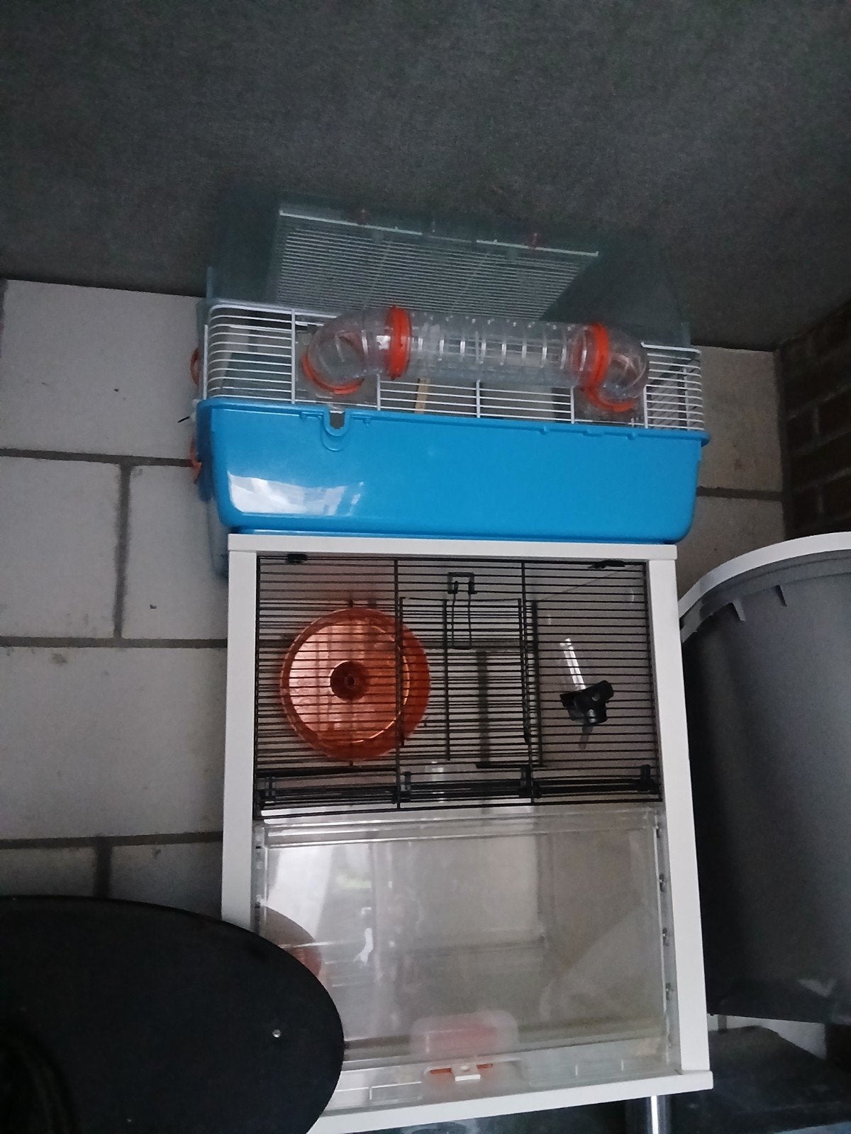 hamsterkooien, Ophalen, 110 cm of meer