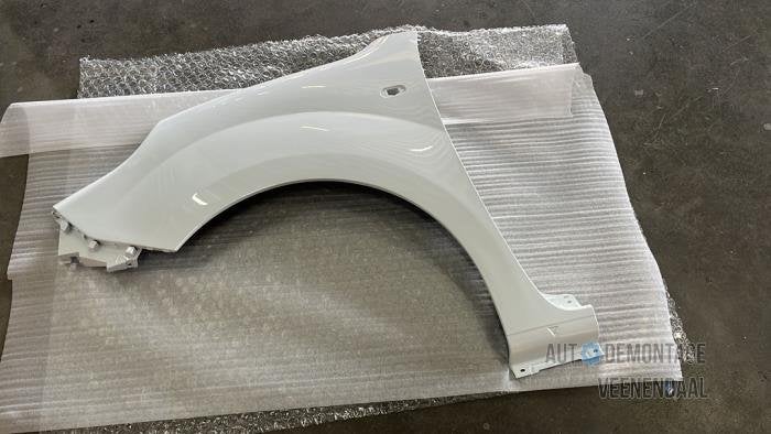 Scherm links-voor van een Renault Kangoo (QNG), -, Renault, -, Nieuw