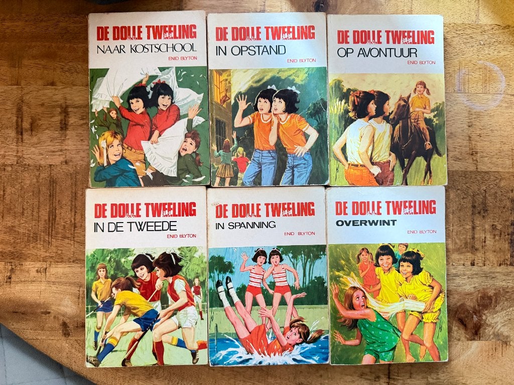 Complete De Dolle Tweeling-reeks van Enid Blyton, Boeken, Gelezen, Ophalen of Verzenden, Fictie, Enid Blyton