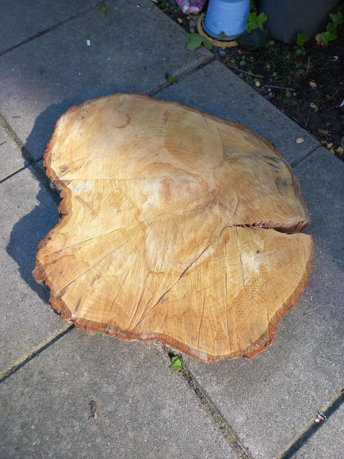 Grote houten schijf - ideaal voor decoratie of bijzettafel, Tuin en Terras, Minder dan 3 m³, Ophalen of Verzenden, Overige houtsoorten