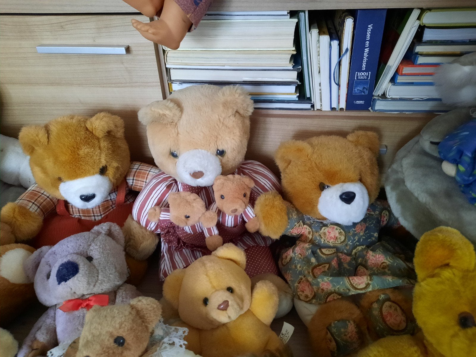 Poppen en beertjes, Verzamelen, Ophalen of Verzenden, Gebruikt