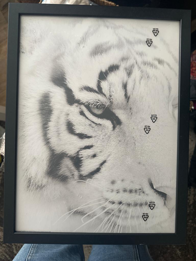 Nieuw stijlvolle zwarte fotolijst met tijgerprint, Antiek en Kunst, Ophalen of Verzenden