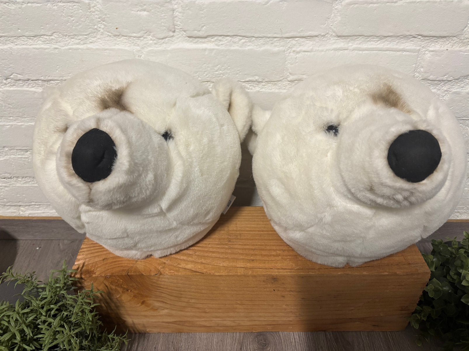 Rain Box berenkop knuffel voor aan de muur beren., Overige merken, Overige karakters, Beer, Ophalen of Verzenden