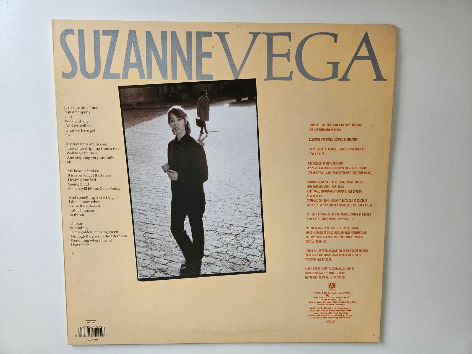 lp, Missprint,  Suzanne Vega, Ophalen of Verzenden, Gebruikt, 12 inch