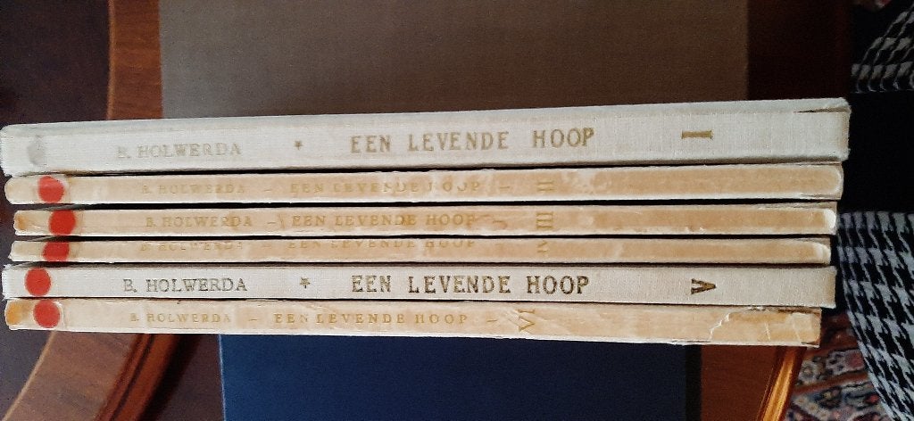 Een levende hoop, 6dln, prof. B. Holwerda, Ophalen of Verzenden, Gelezen, Christendom | Protestants