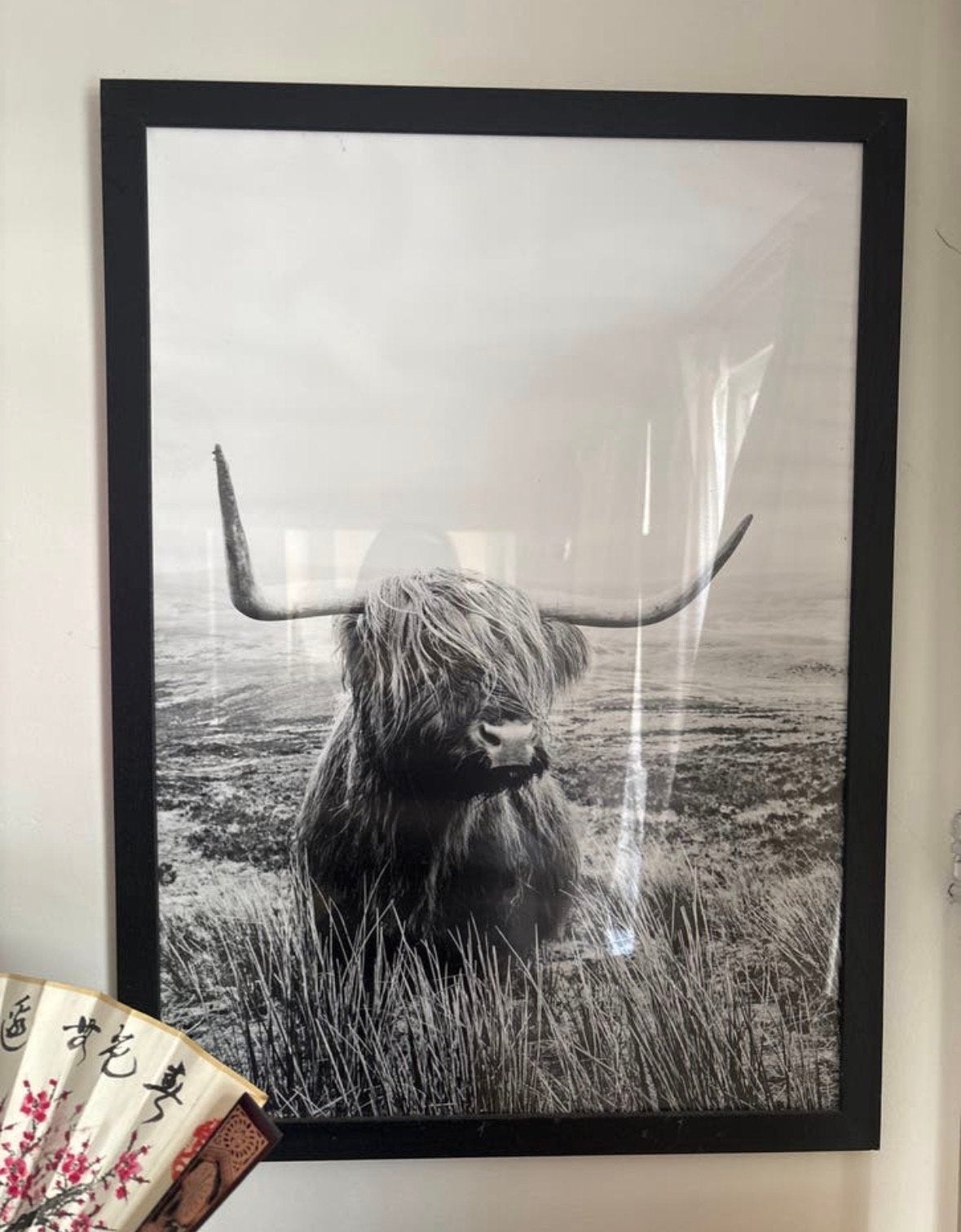 Oude poster met Schotse Hooglander in lijst, Ophalen, Gebruikt, Foto of Poster, 75 – 100