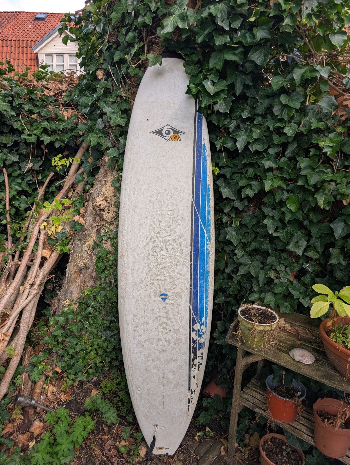 BIC Sport Mini Malibu Surfboard 7'3", Watersport en Boten, Ophalen, Gebruikt, Funboard, Met vinnen