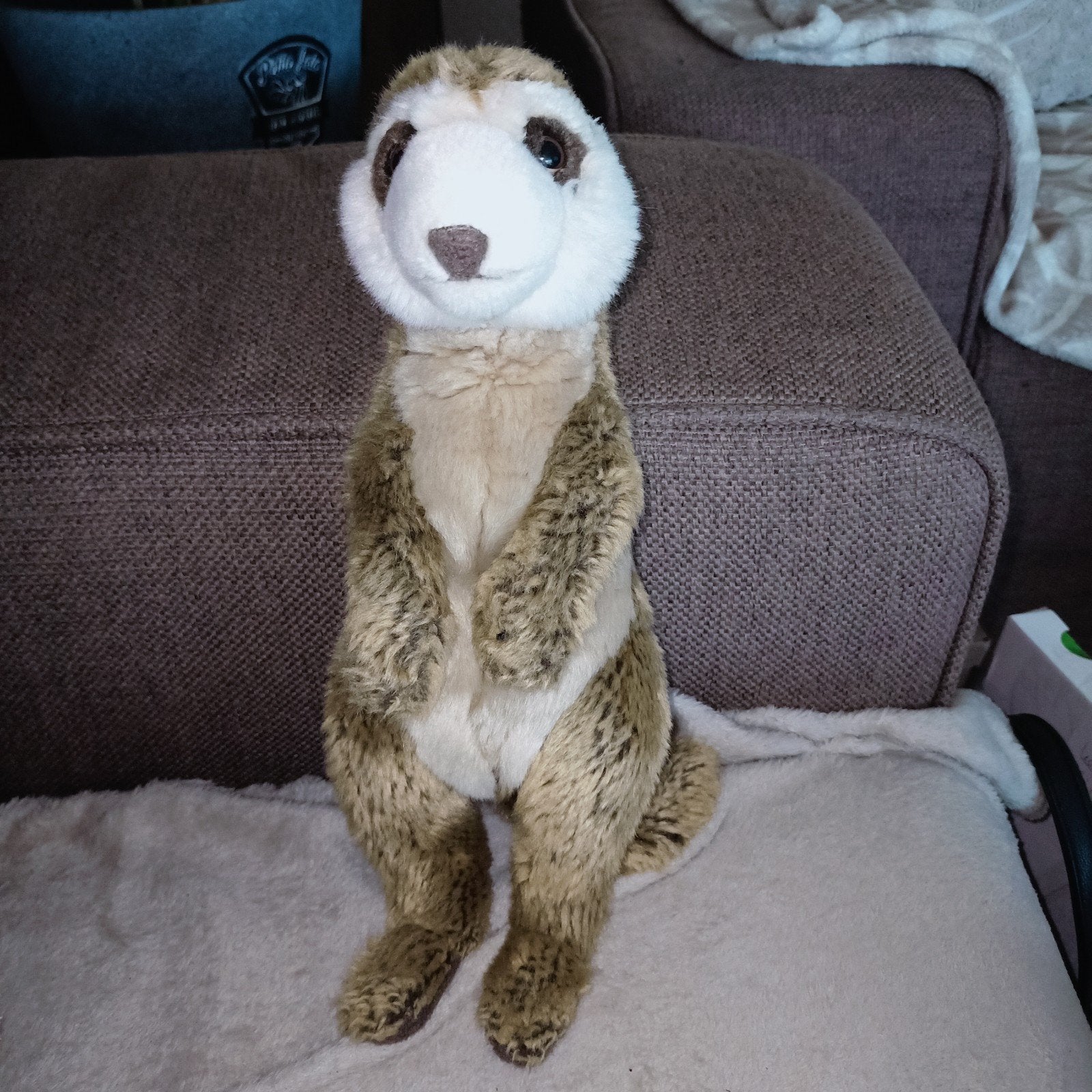 Wwf plush, stokstaartje, bon ton toys., Overige merken, Overige typen, Ophalen of Verzenden, Zo goed als nieuw