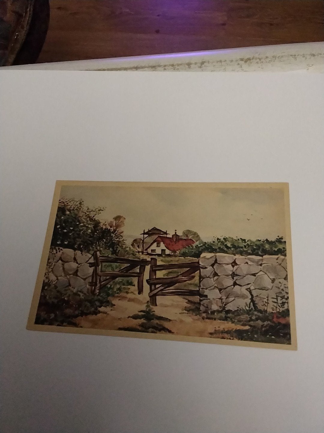 Oude ansichtkaart: Hollandse boerderij met stenen muur, Ophalen of Verzenden