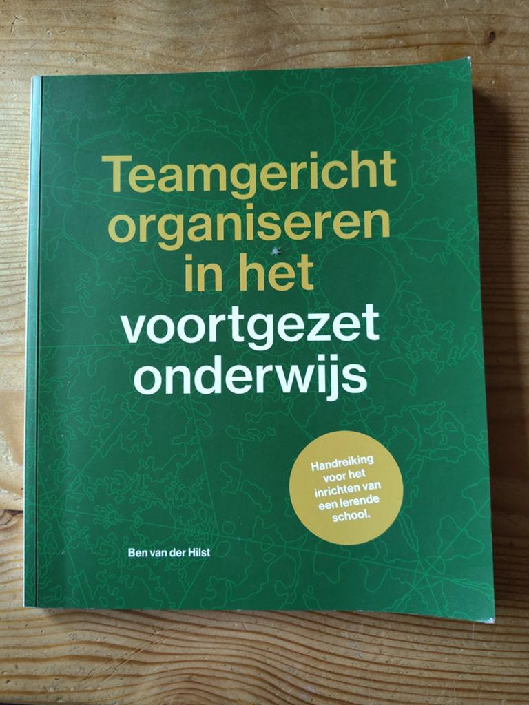 Teamgericht organiseren in het voortgezet onderwijs, Boeken, Schoolboeken, Overige vakken, Ophalen of Verzenden, Zo goed als nieuw