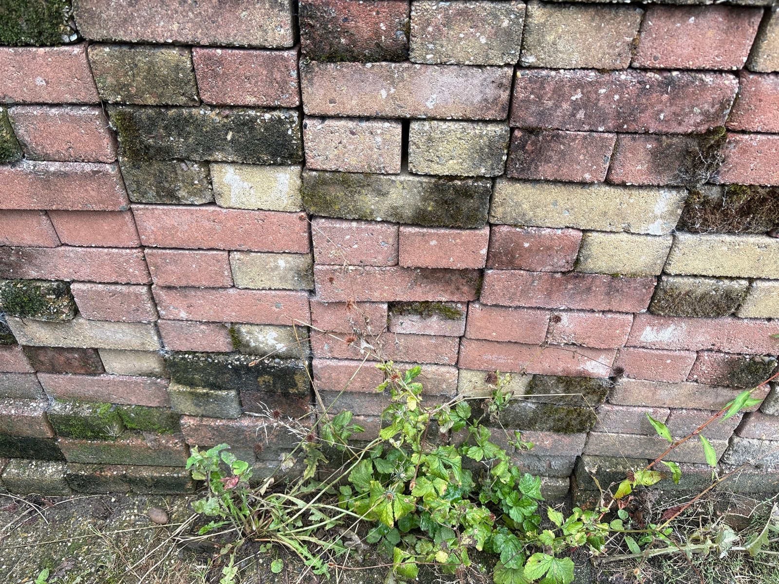 Gratis gebruikte klinkers voor een mooi pad., Tuin en Terras, Gebruikt, Klinkers, Ophalen of Verzenden, 10 m² of meer