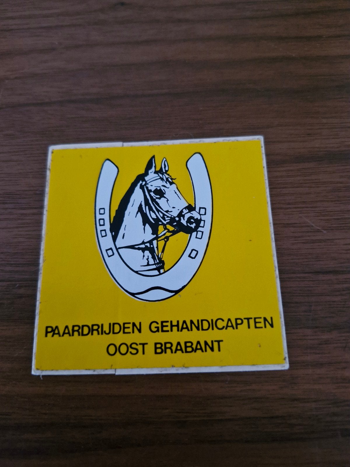 9732 Sticker Paardrijden Gehandicapten Oost Brabant, Ophalen of Verzenden, Gebruikt, Sport