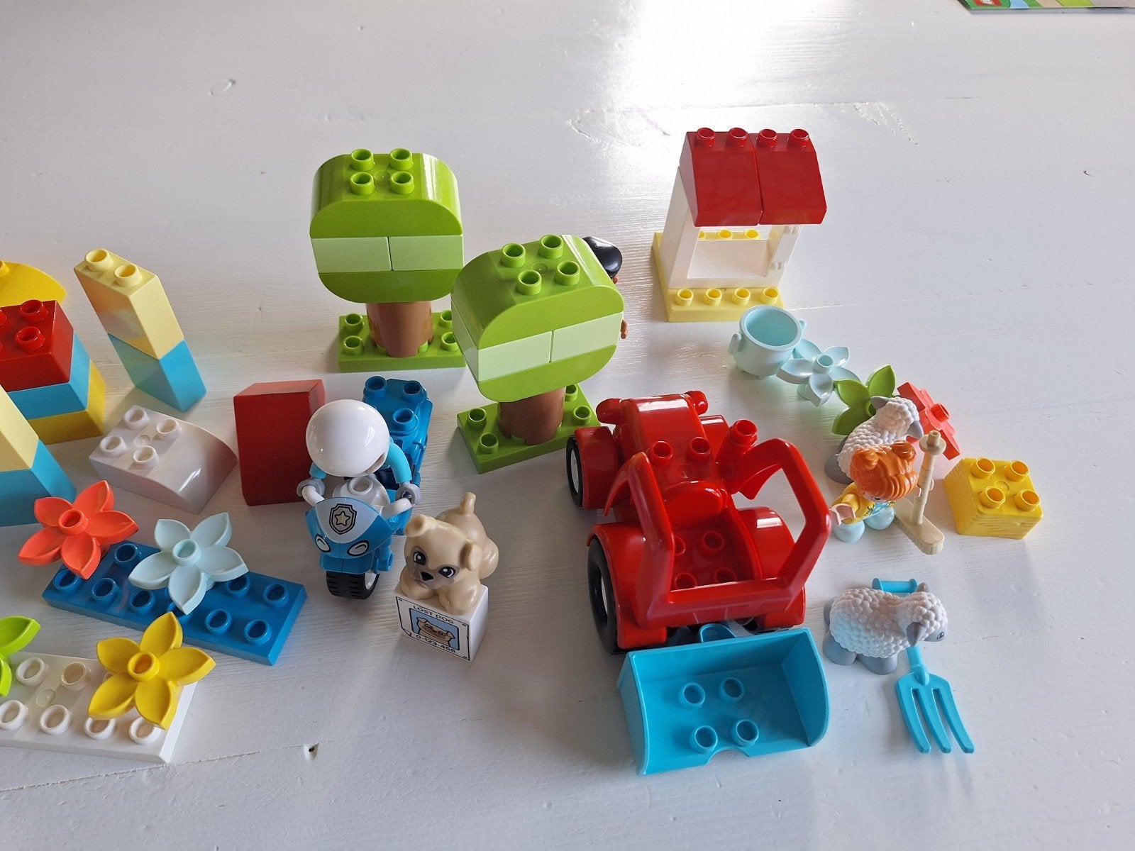 Duplo divers