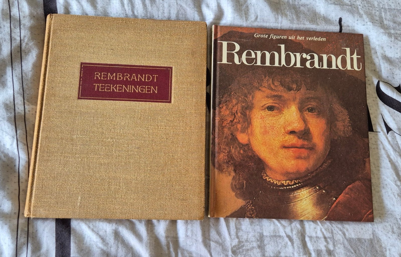Rembrandt Teekeningen & Grote Figuren uit het Verleden, Boeken, Ophalen of Verzenden, Gelezen, Overige onderwerpen, Jan Poortenaar
