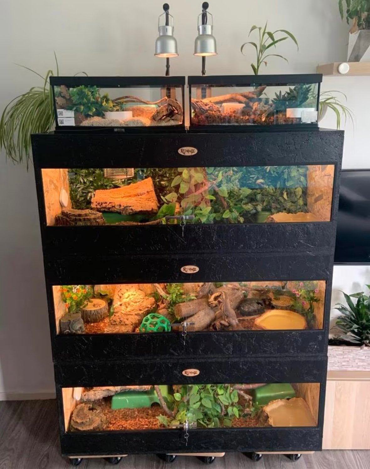 NIEUW ‼️ TERRARIUM OSB ( verschillende op voorraad ), Dieren en Toebehoren, Ophalen, Nieuw, Terrarium of Paludarium