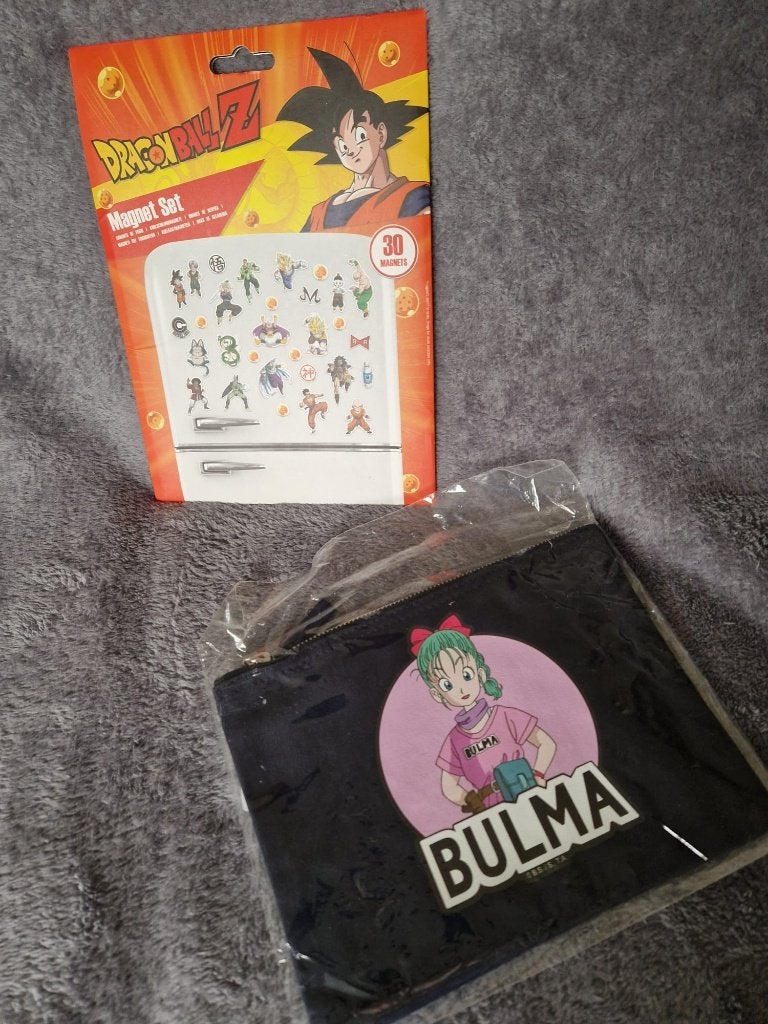 Dragon Ball Z koelkast magneten | Bulma etui / toilettas, Ophalen of Verzenden, Nieuw