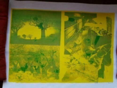 Zeefdruk van Bob Jansen Alkmaar., Antiek en Kunst, Ophalen