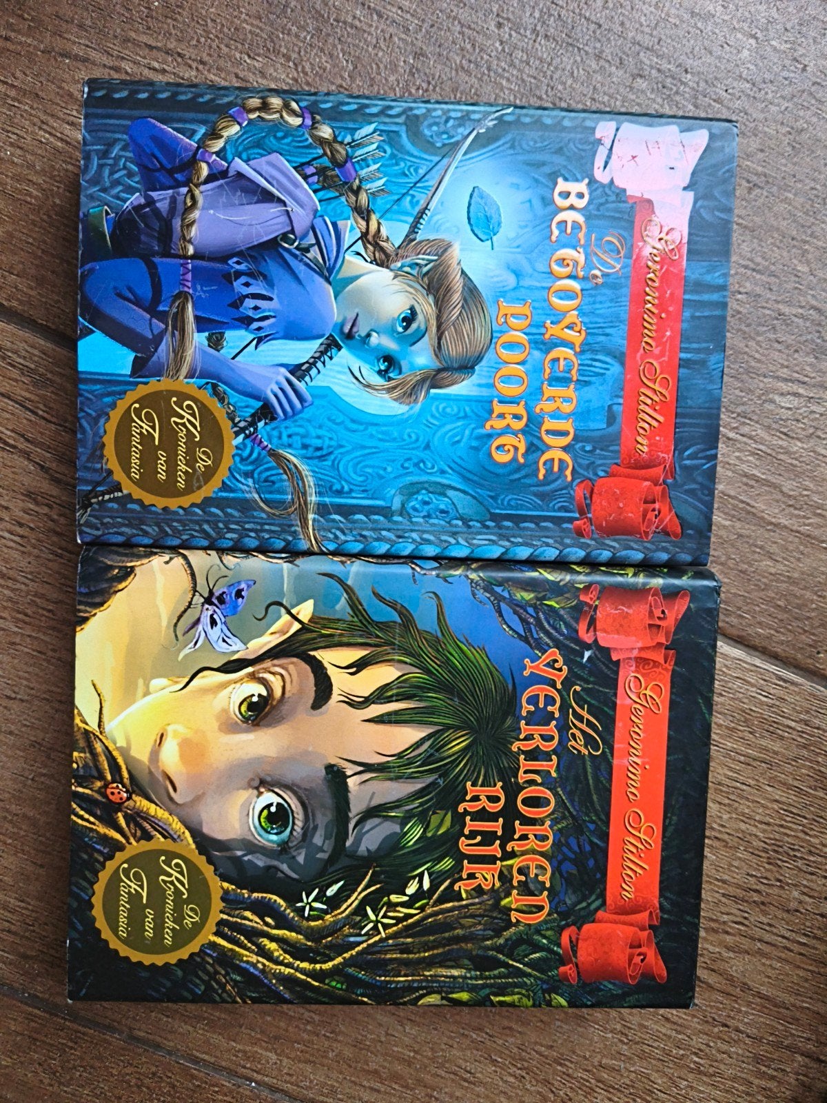 Geronimo Stilton Fantasia boeken, Boeken, Ophalen of Verzenden, Gelezen, Geronimo Stilton