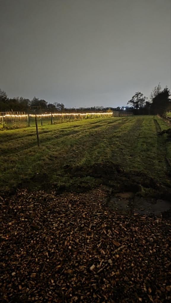 Gezocht: weiland/braakliggende grond (500-1250m²), Dieren en Toebehoren, Stalling en Weidegang