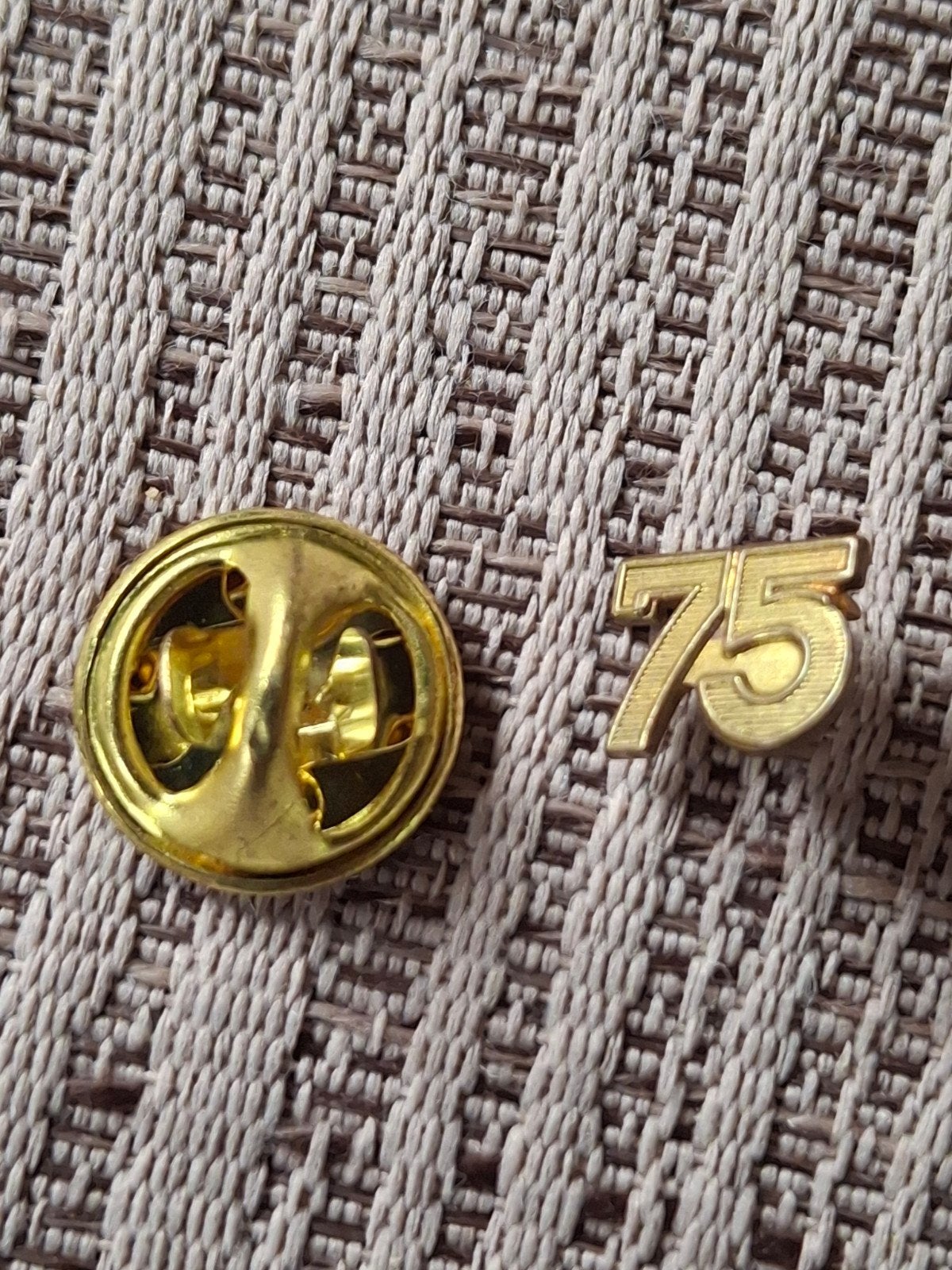 Speldje 75e editie Vierdaagse van Nijmegen, Verzamelen, Ophalen of Verzenden, Landmacht, Nederland, Embleem of Badge