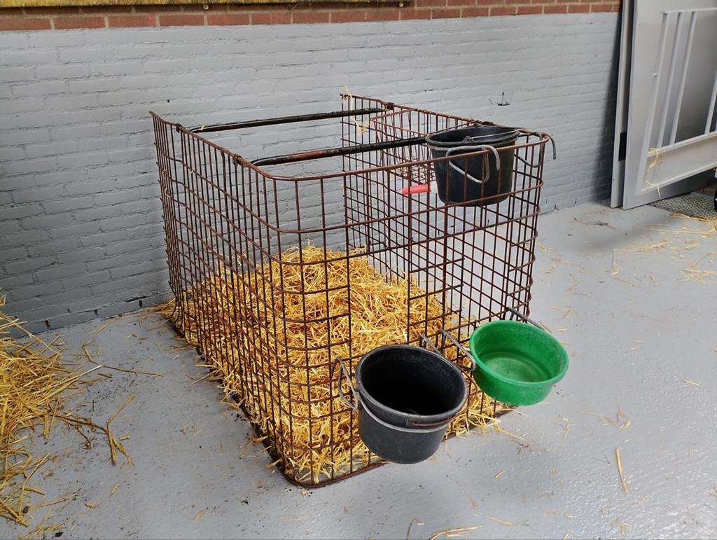 dierenverblijf , Kalverkhok, kalf ,Makkelijk verplaatsbaar, Dieren en Toebehoren, Ophalen, Zo goed als nieuw, 110 cm of meer