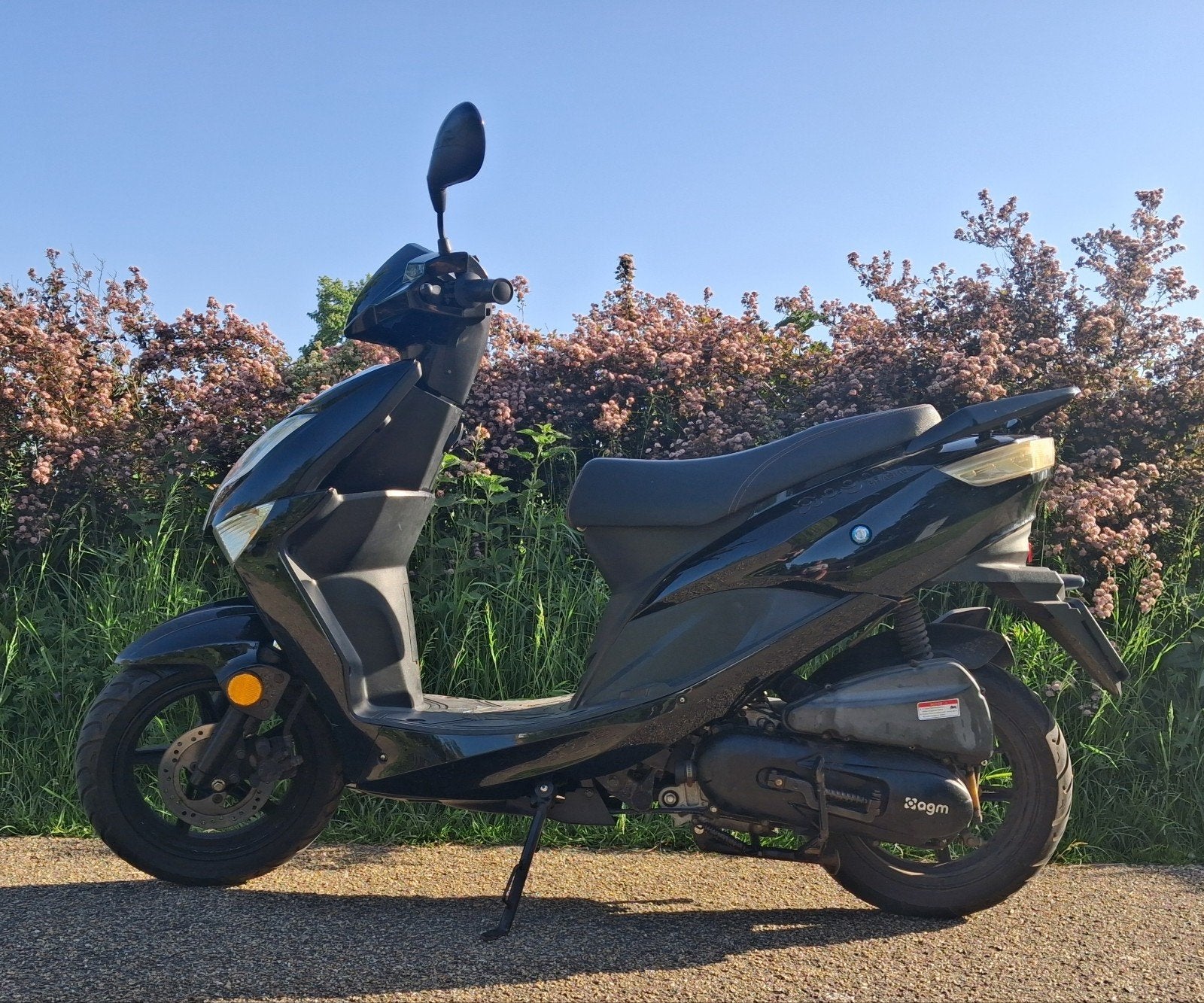 Te koop Agm Brash50 -Eagle -2019, Ophalen, Gebruikt, Benzine, Overige modellen