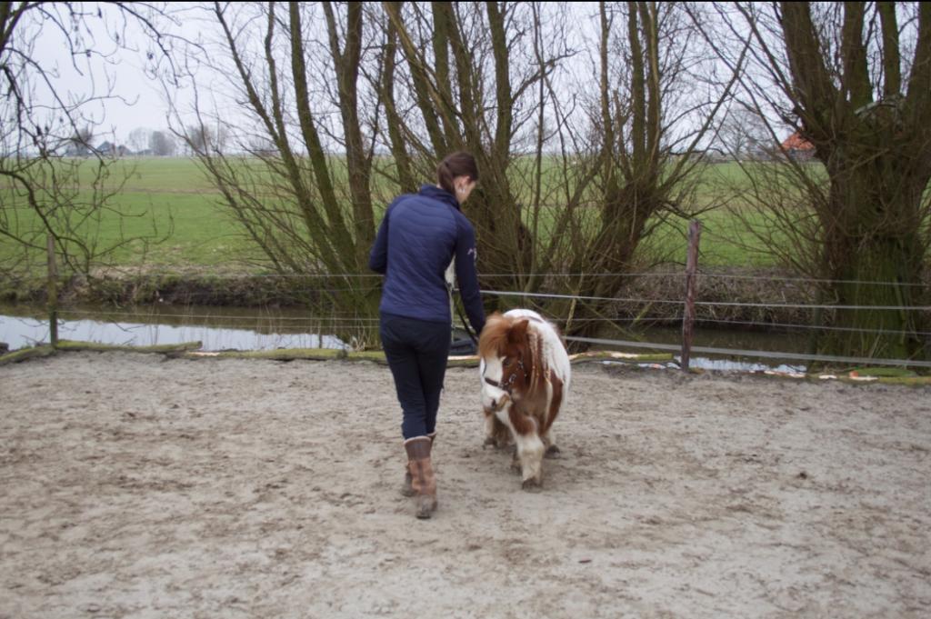 Les met lespaard of eigen paard, Ophalen