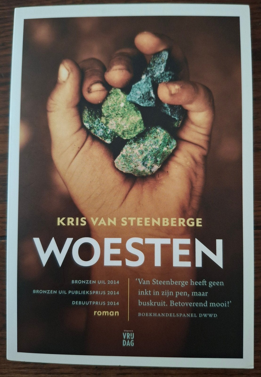 Woesten - Kris Van Steenberge (Roman), Boeken, Ophalen of Verzenden, Zo goed als nieuw, Kris Van Steenberge, België