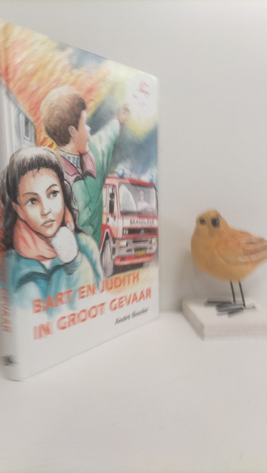 Boeder, Andre; Bart en Judith in groot gevaar, Ophalen of Verzenden, Gelezen