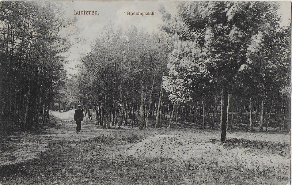 Lunteren Boschgezicht Oude Gelopen Ansichtkaart (B1801 ), Ophalen of Verzenden, 1920 tot 1940, Gelopen, Gelderland