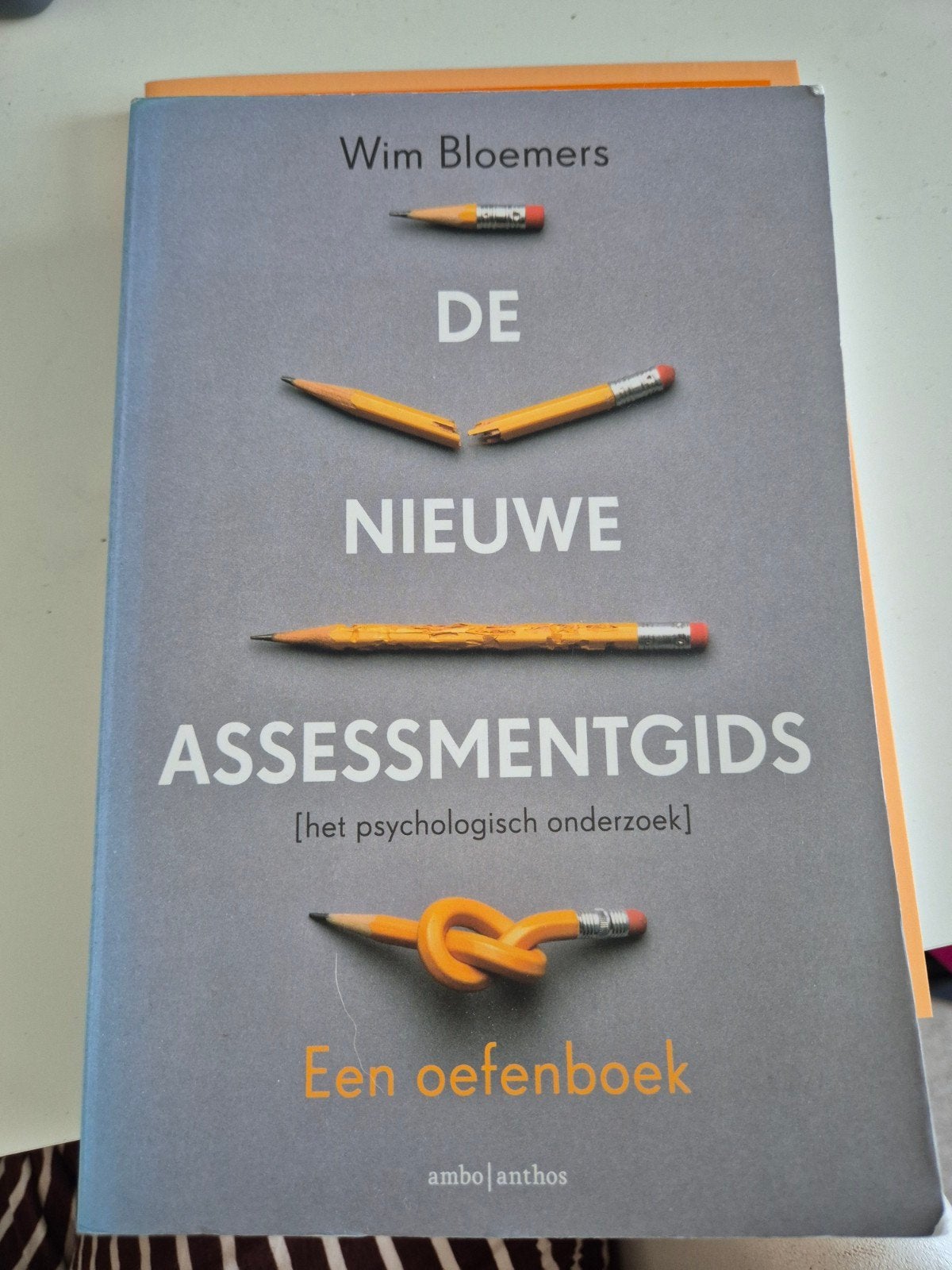Wim Bloemers - De nieuwe assessmentgids, Boeken, Ophalen of Verzenden, Zo goed als nieuw, Wim Bloemers