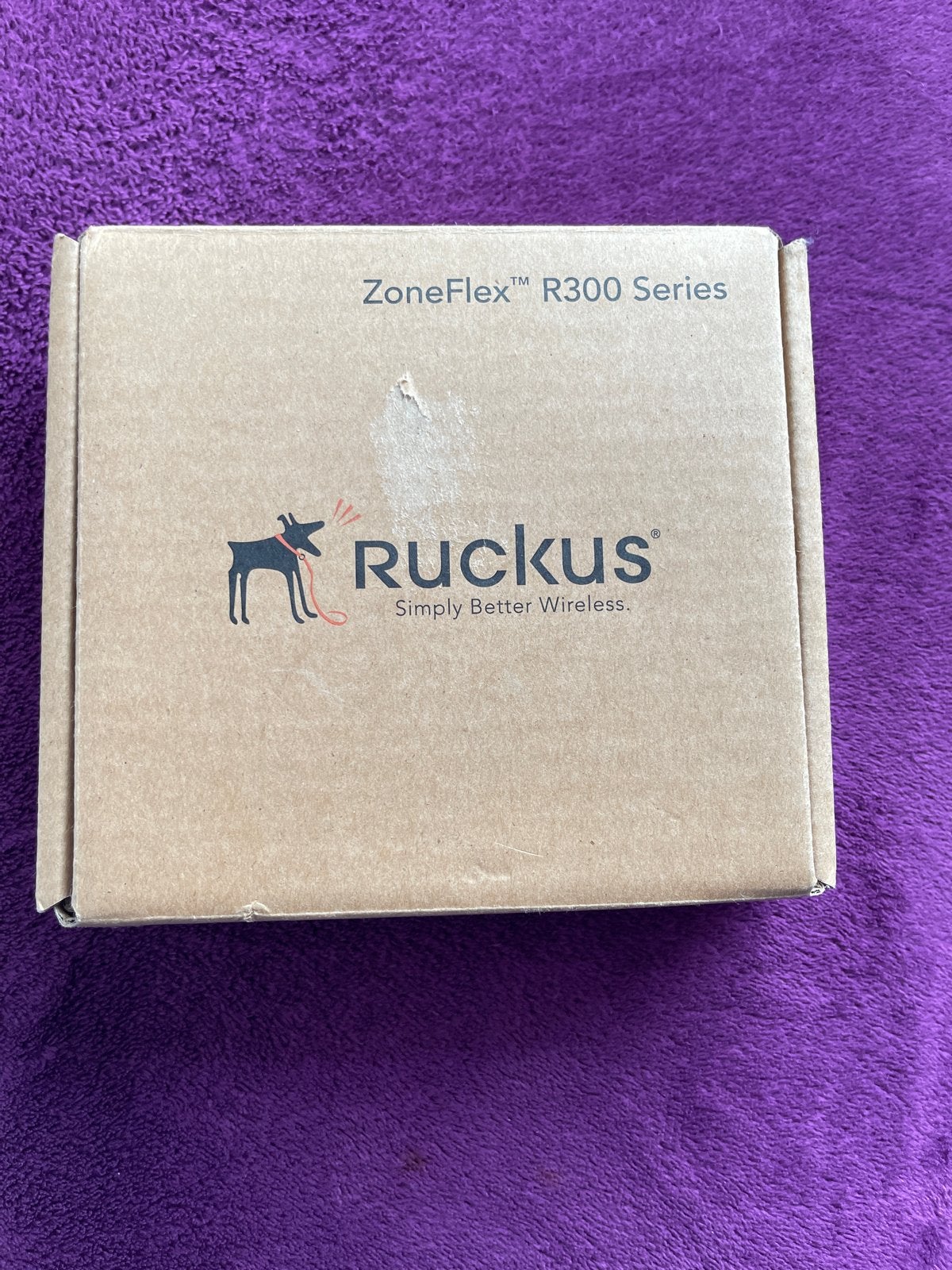 Ruckus ZoneFlex R300 Series Access Point - Nieuw in doos, Computers en Software, Ophalen of Verzenden, Nieuw