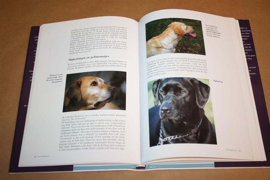 Labrador Retriever — Hondengids, Verzorging & Opvoeding, Verzenden, Gelezen, Honden