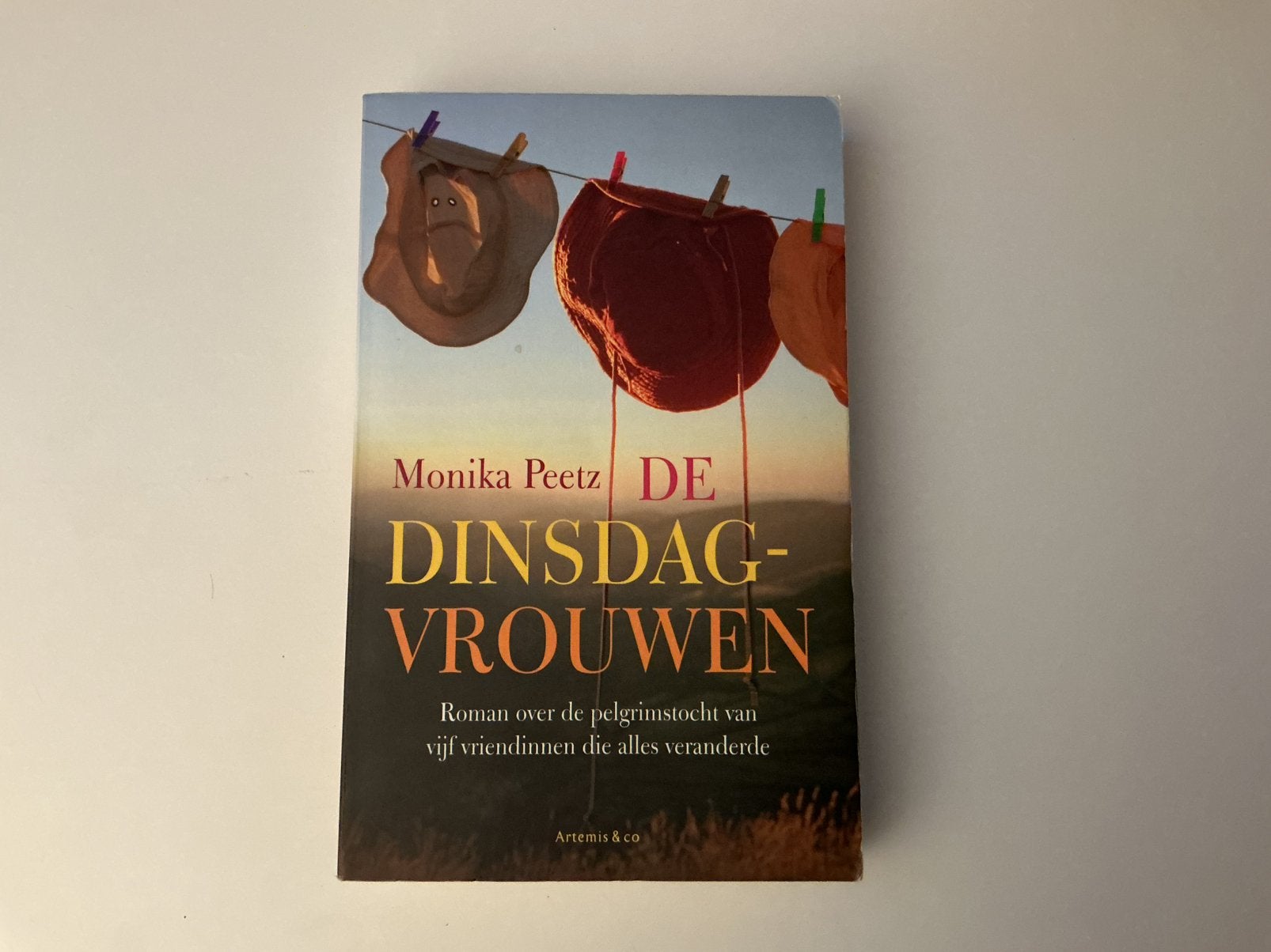 Monika Peetz - De dinsdag vrouwen, Ophalen of Verzenden, Zo goed als nieuw