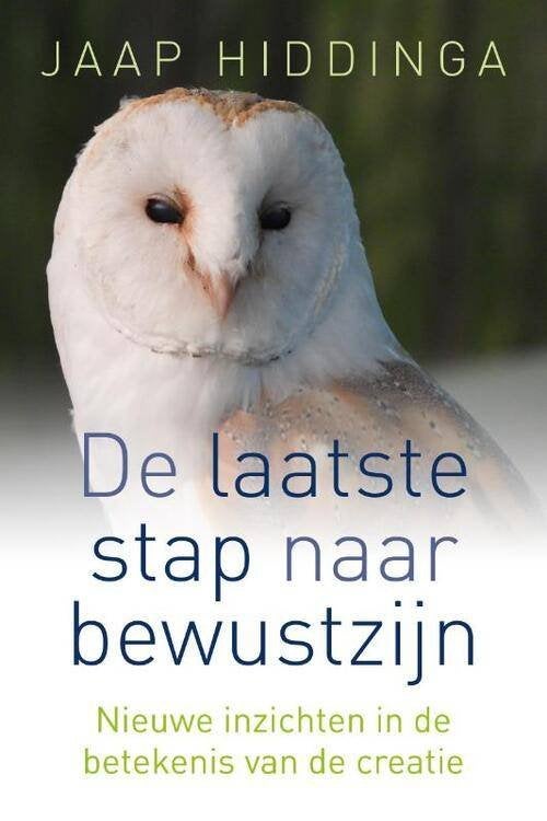 de laatste stap naar bewustzijn - Jaap Hiddinga, Boeken, Ophalen of Verzenden, Zo goed als nieuw, Spiritualiteit algemeen, Achtergrond en Informatie