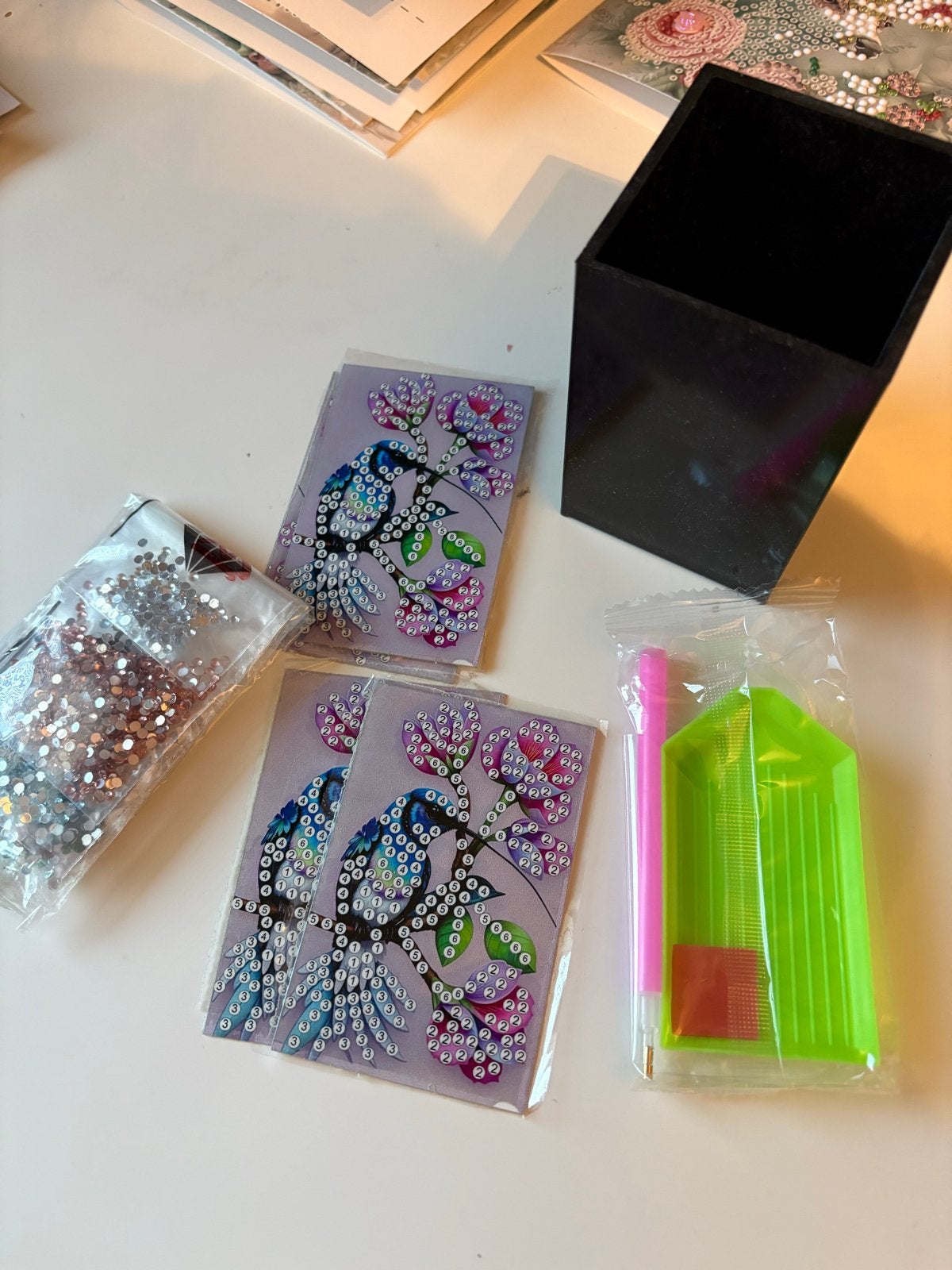 Diamond Painting Set met Pennenbakje, Nieuw, Meerkleurig, Ophalen of Verzenden, Kunststof