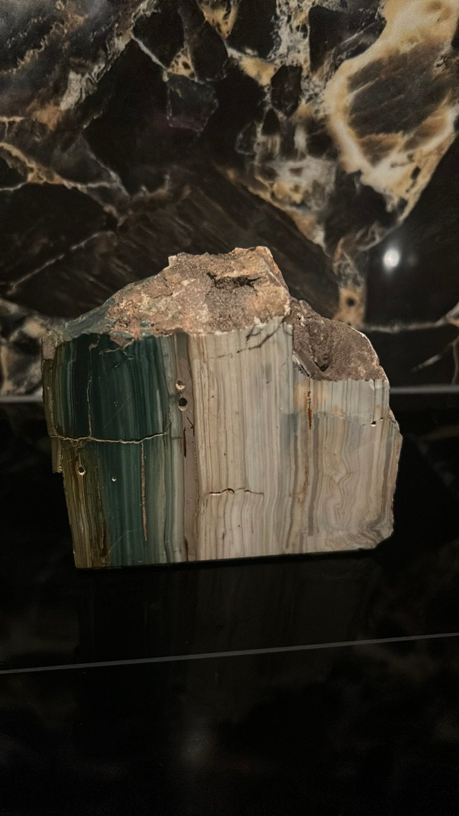 Mooi stuk versteend hout van 989 gram 11x10x5,5 cm, Ophalen of Verzenden