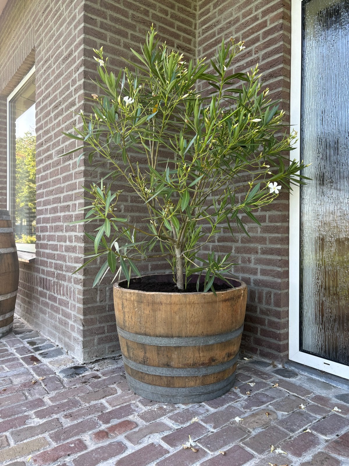 Houten bloembakken van wijnvat – halve ton – €55, Ophalen, Overige materialen, Gebruikt, Balkon