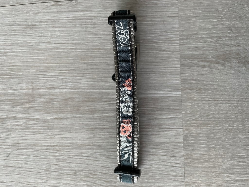 Hondenhalsband, Ophalen of Verzenden, Nieuw