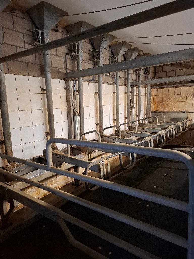 hekwerk  en voerbakken melkstal