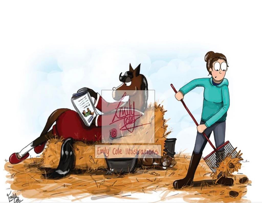 Bijbaan gezocht in de paarden. Verzorger paard/ stalhulp, Vacatures