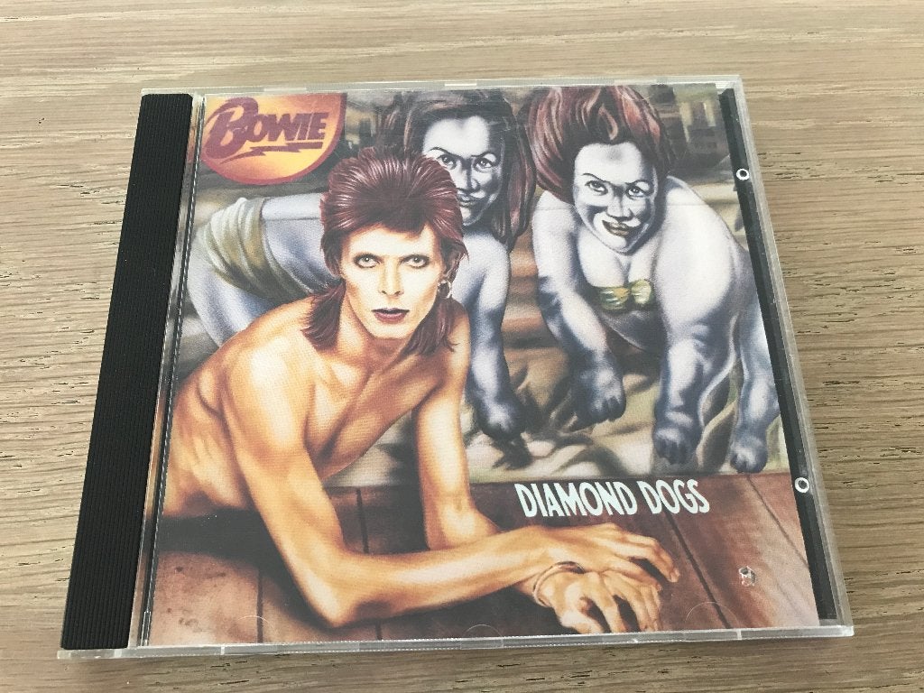 DAVID BOWIE, Cd's en Dvd's, Ophalen of Verzenden, Zo goed als nieuw