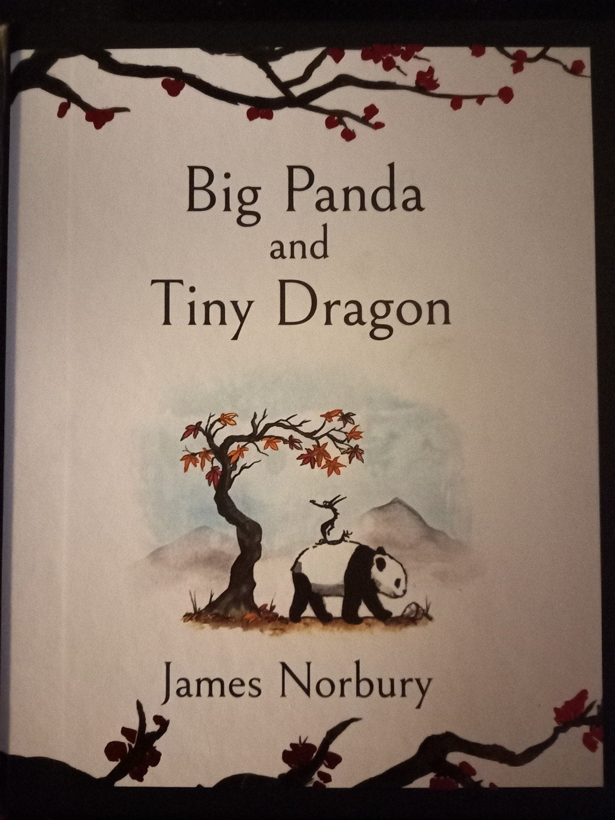 Big Panda and Tiny Dragon - James Norbury, Ophalen of Verzenden, Zo goed als nieuw, James Norbury