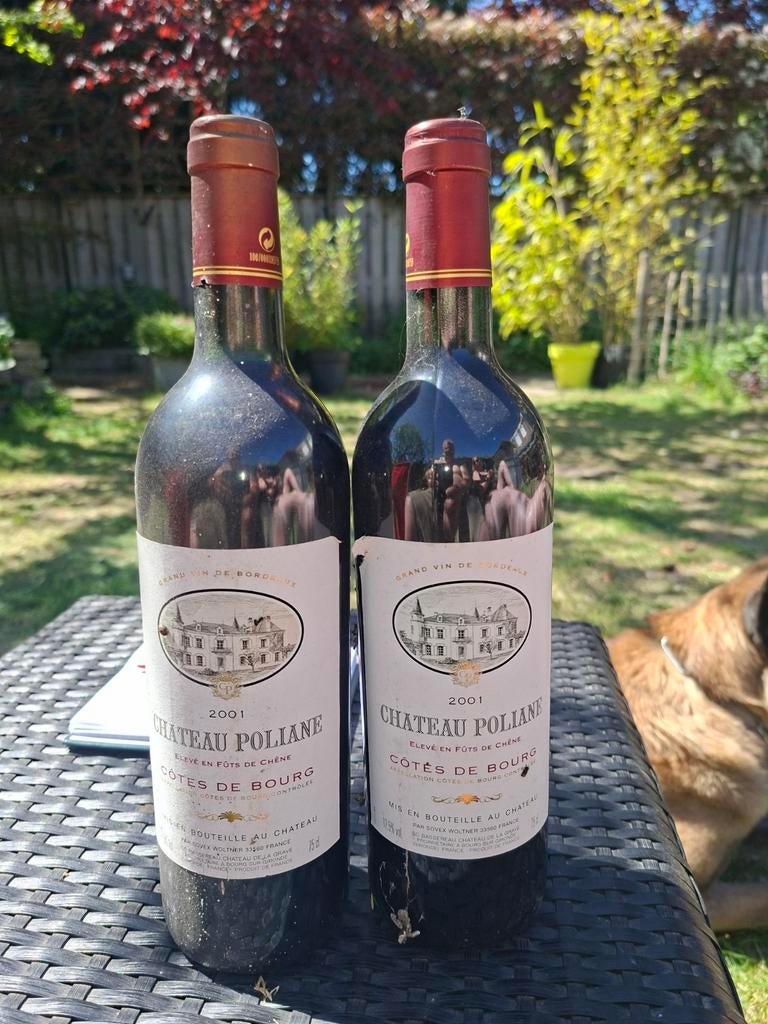 Chateau Poliane Cotes de Bourg 2001 - Rode Wijn, Ophalen, Gebruikt, Frankrijk, Rode wijn