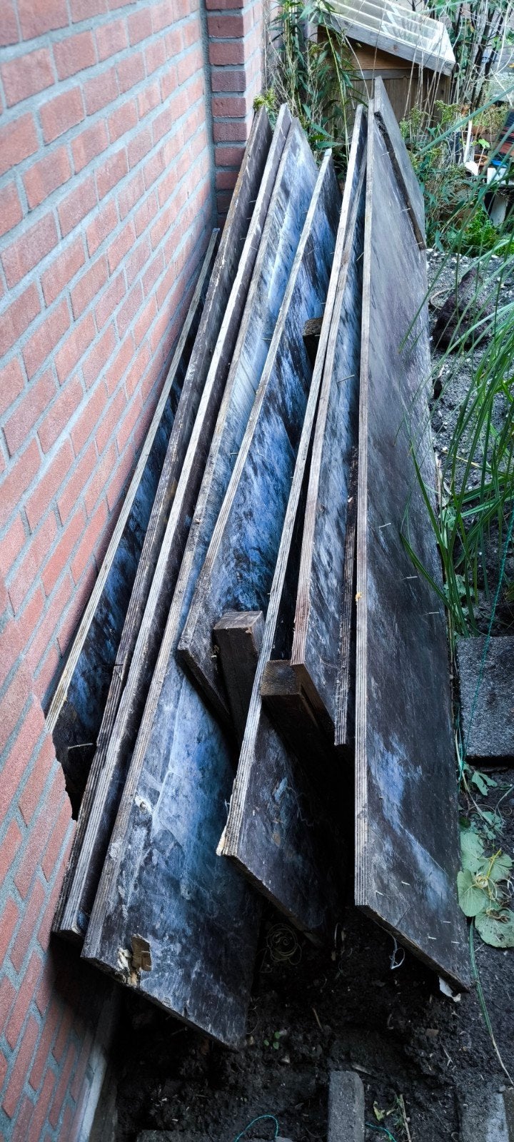 Betonplex bekistingsplaten 18mm, Doe-het-zelf en Verbouw, Ophalen, Gebruikt