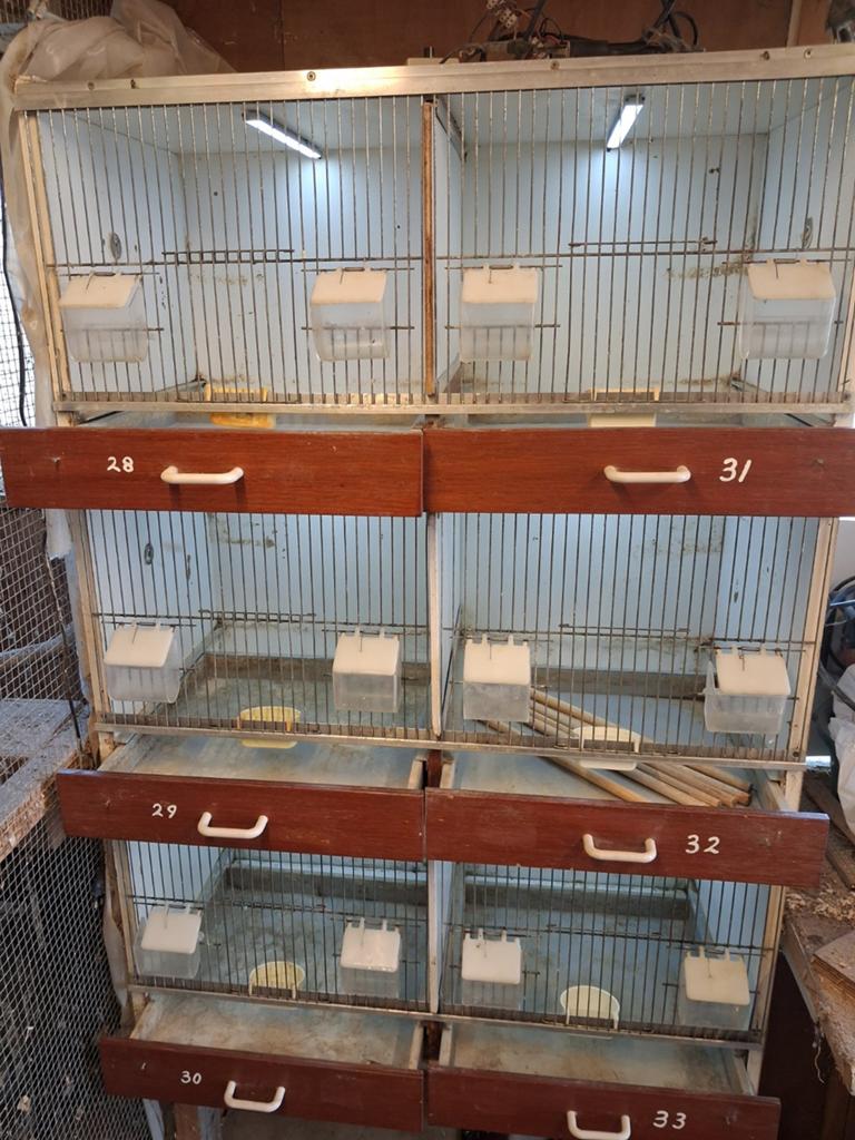 Te koop broedkooien, Dieren en Toebehoren, Vogels | Hokken en Kooien, Ophalen, Broedkooi of Kweekkooi