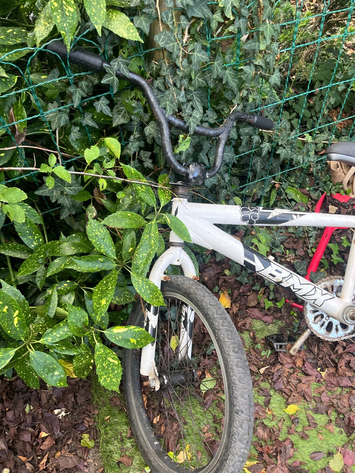 BMX met lekke achterband en roestige ketting, Ophalen, Gebruikt, Staal, 20 tot 24 inch