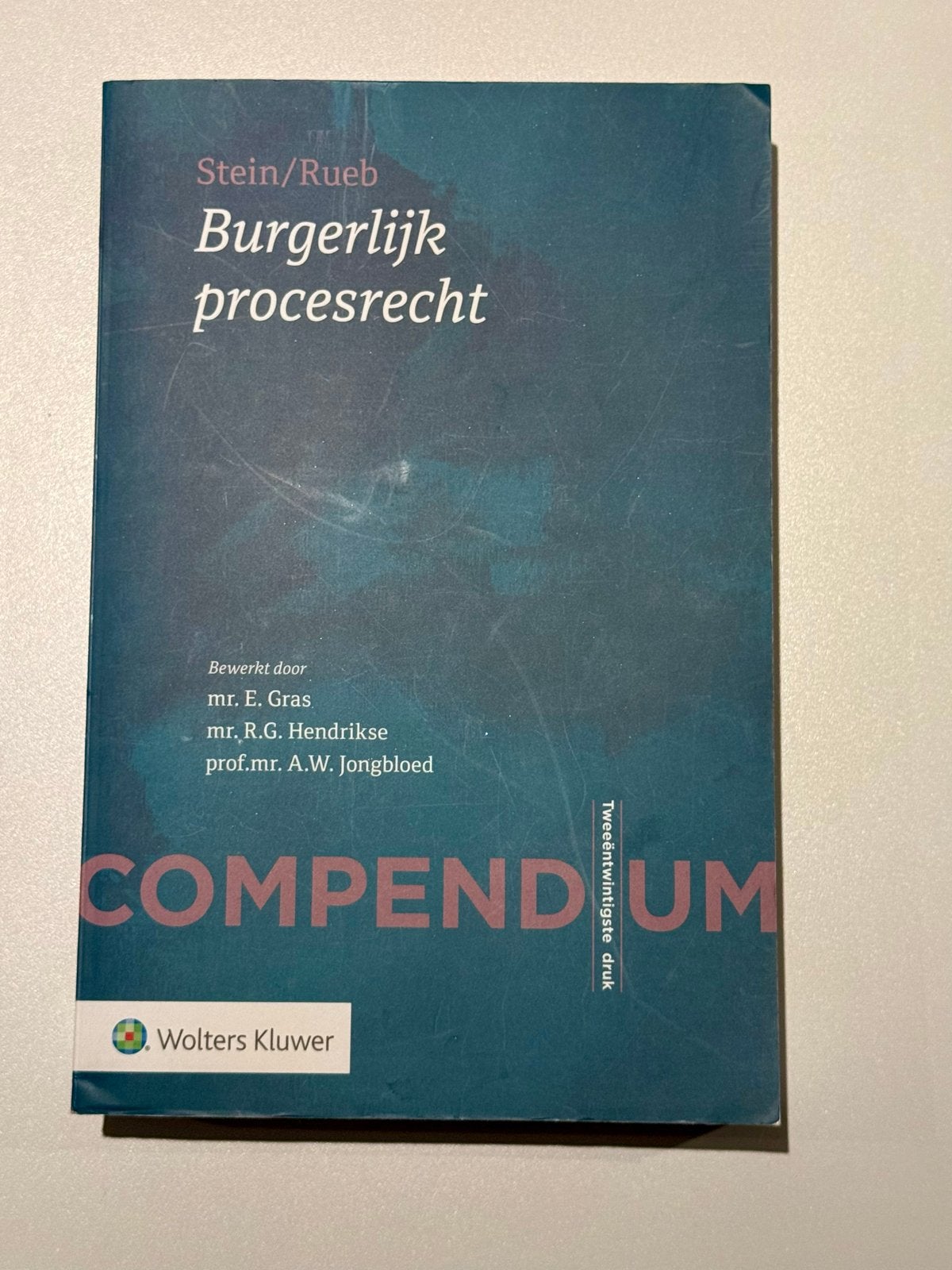 Compendium Burgerlijk procesrecht - Stein/Rueb (22e druk), Boeken, Studieboeken en Cursussen, Ophalen of Verzenden, Gamma, Zo goed als nieuw