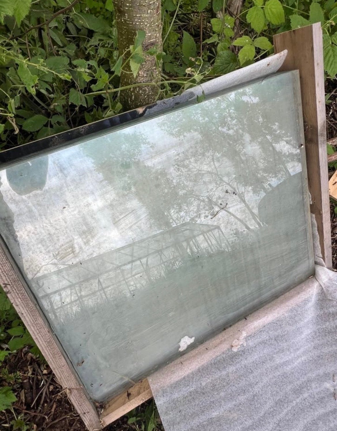 Kasglas 4mm - 61 x 51 cm - 17 stuks, Doe-het-zelf en Verbouw, Glas en Ramen, Ophalen, Gebruikt, Glasplaat, Minder dan 80 cm