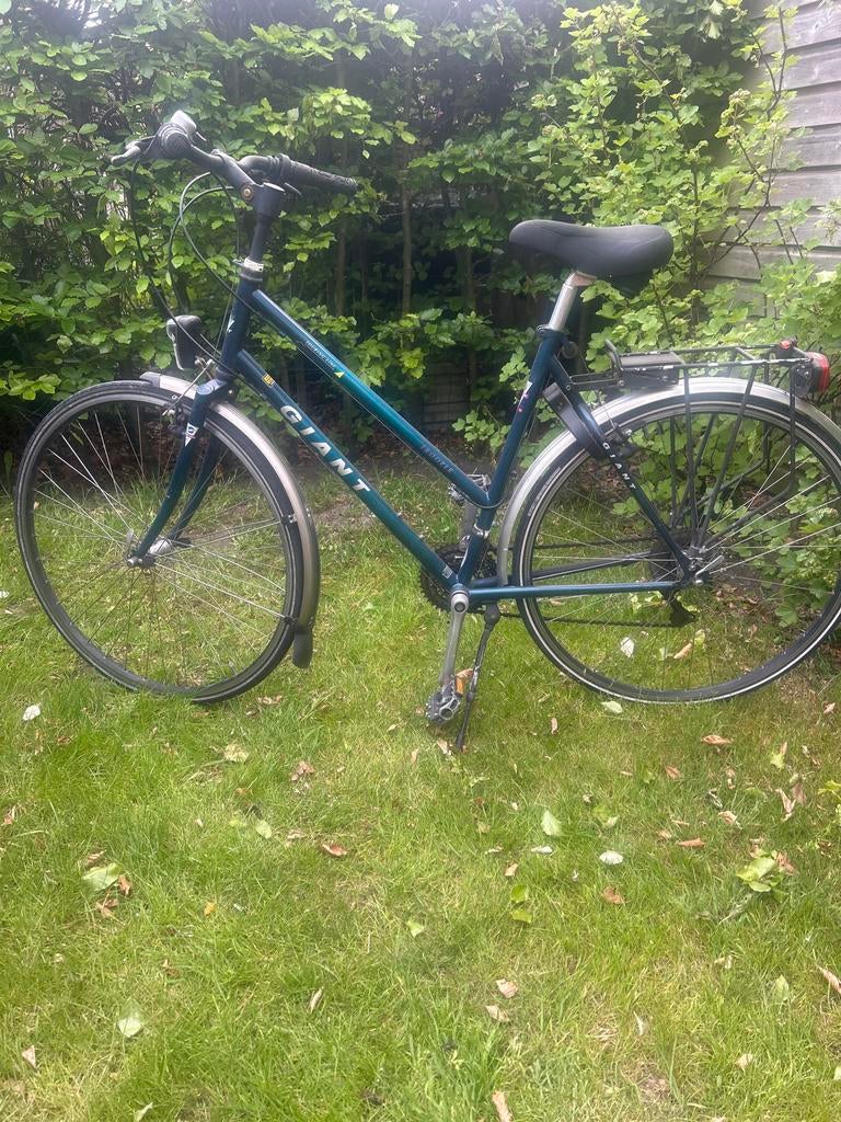 Giant Trooper Damesfiets - Touring Line 28 inch, Ophalen, 28 inch, Velgrem, Giant
